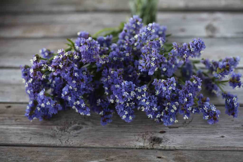 purple statice blooms in a bouquet on grey wooden boards