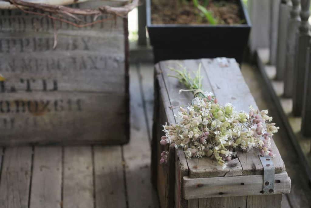 a bouquet of silene vulgaris laying on a grey wooden box on a wooden deck