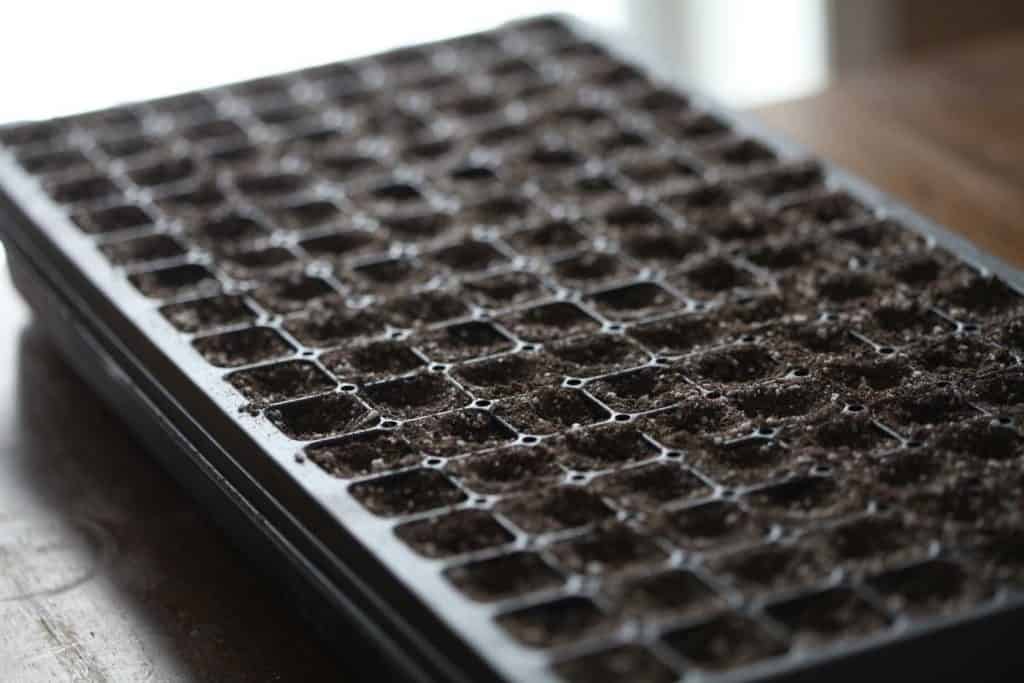 seed cell tray filled with seed starting medium