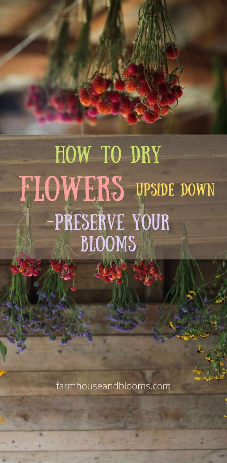 how-to-dry-flowers-upside-down-preserve-your-blooms-farmhouse-blooms