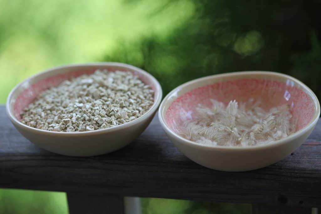 pink bowls containing clematis seeds and vermiculite on a grey wooden railing
