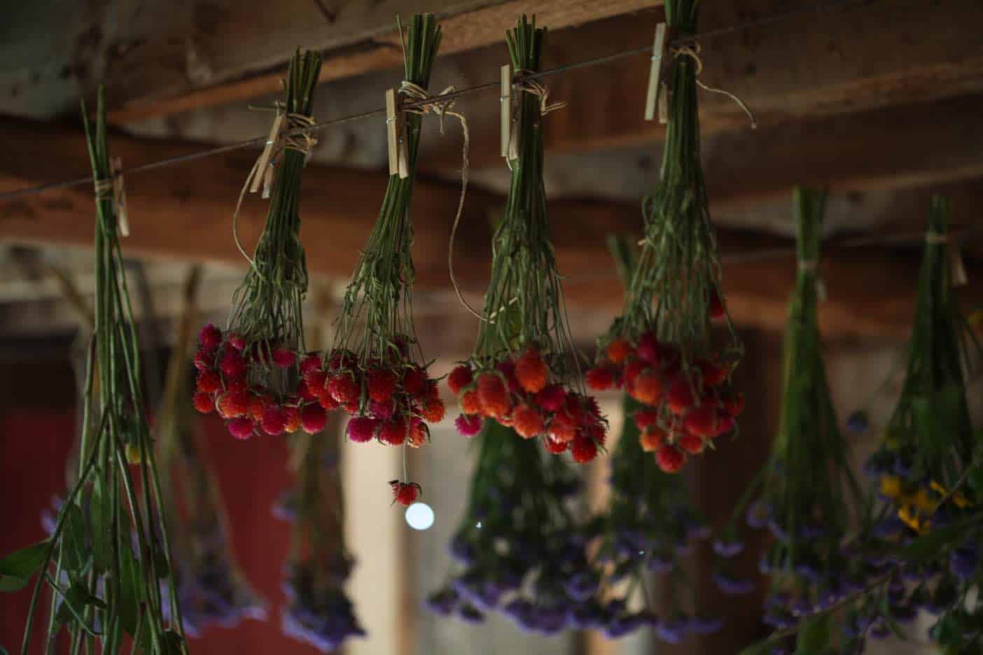 How To Dry Flowers Upside Down Preserve Your Blooms Farmhouse & Blooms