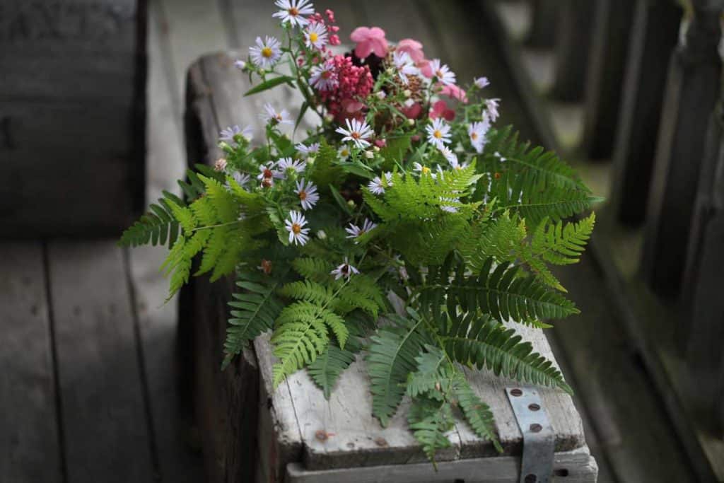 foraged flowers and leaves for pressing on a grey wooden box