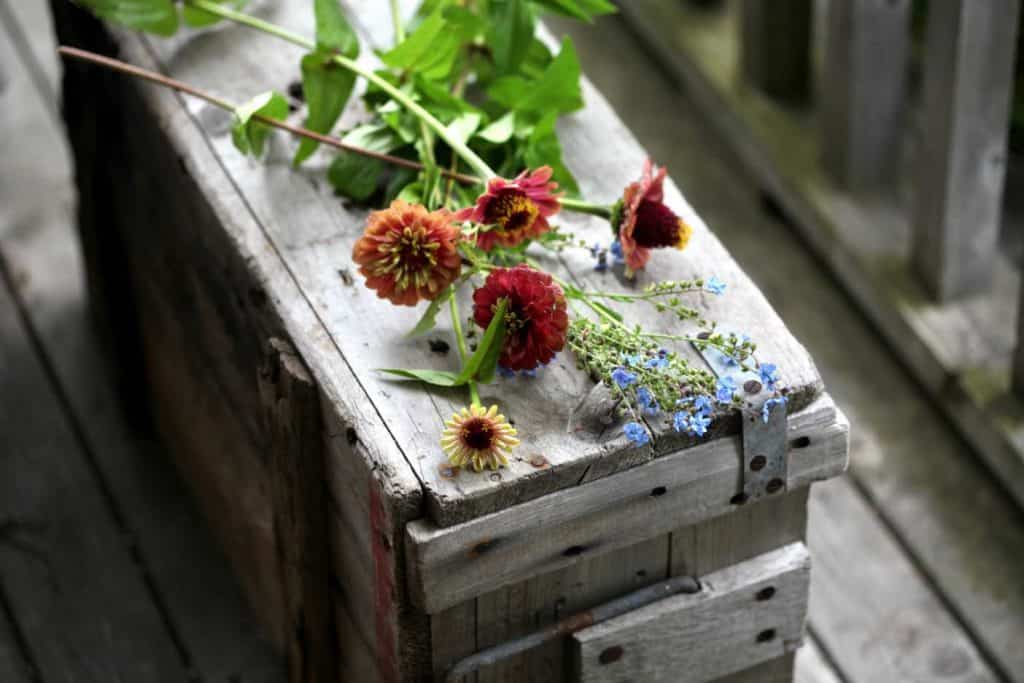 zinnias and forget me nots on a grey wooden crate