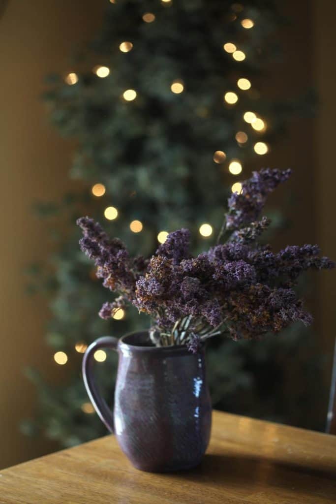 lilacs dried in a vase