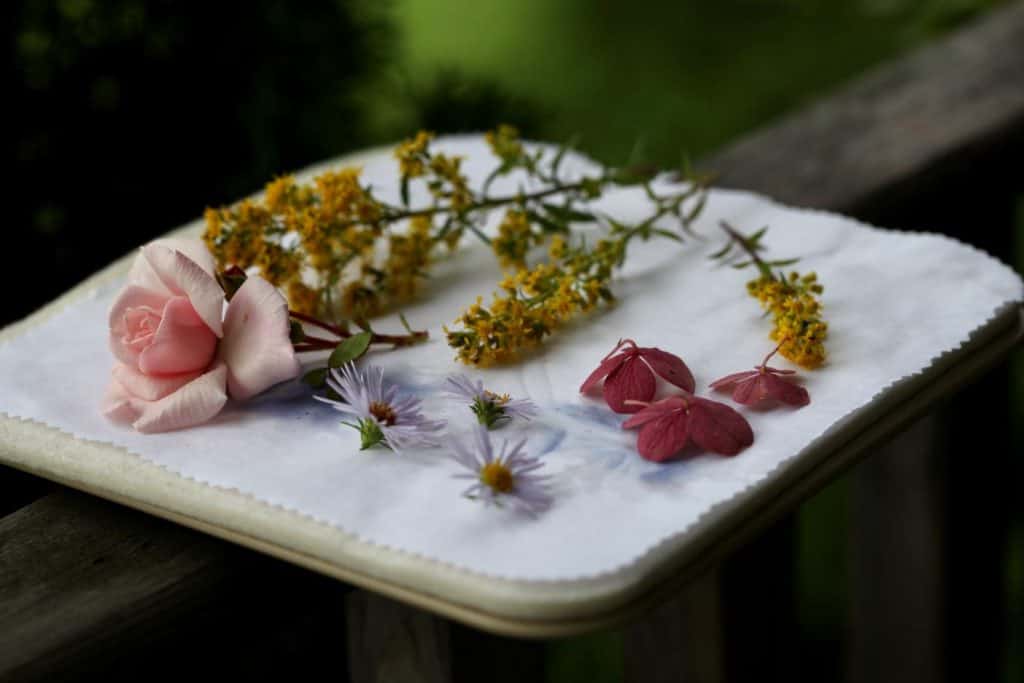 colourful flowers awaiting pressing