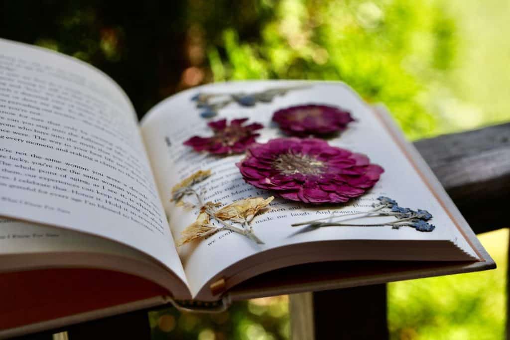 flowers pressed in a book