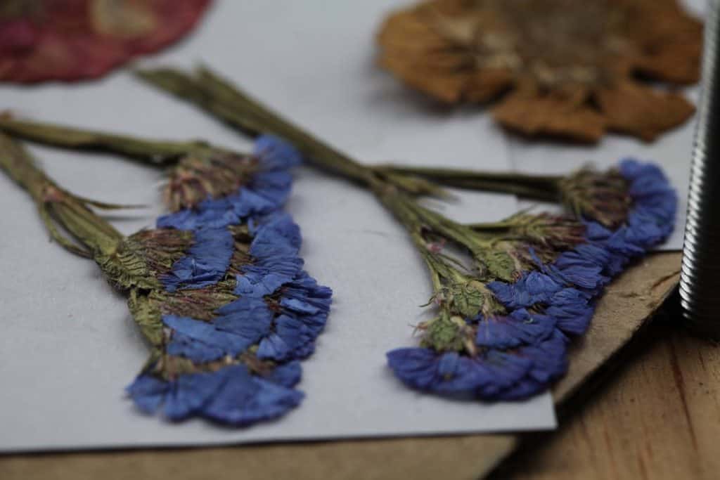 pressed flowers including  purple statice and  yellow and pink zinnias