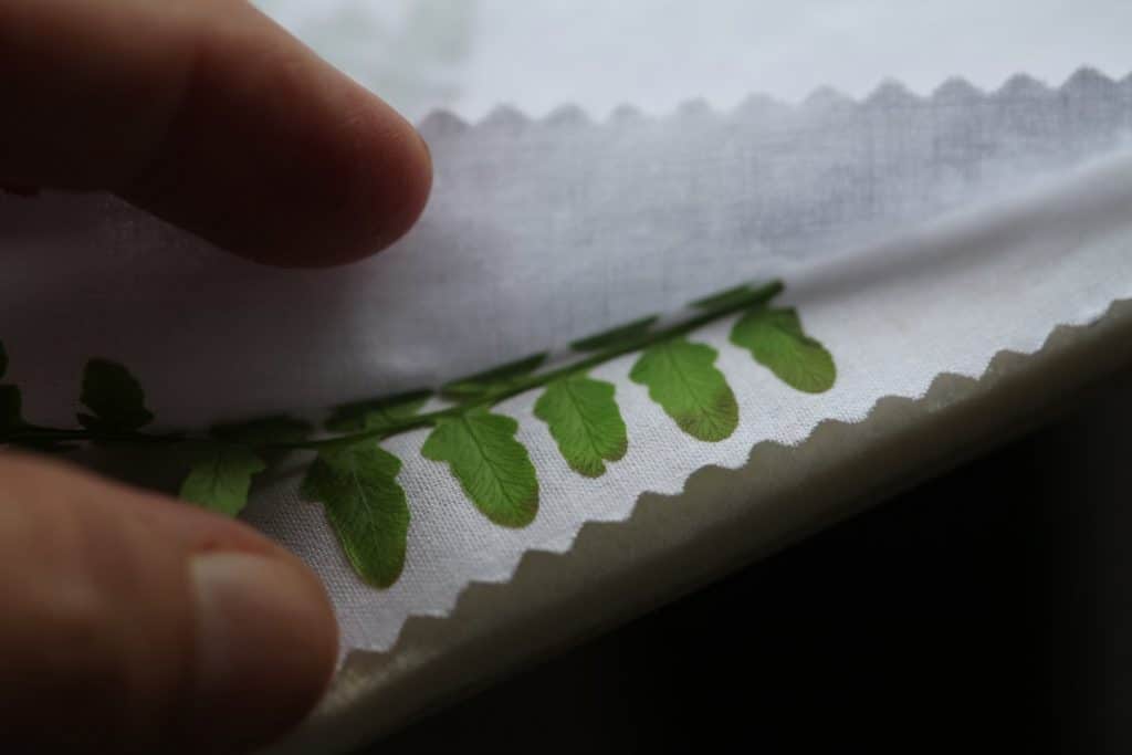 a hand revealing ferns pressed with the microwave press