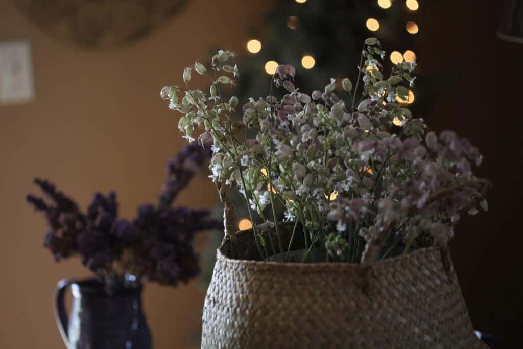 silene and lilacs each dried in a vase with twinkling fairy lights in the background