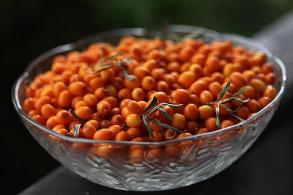 ripe orange Sea Buckthorn berries in a clear glass bowl