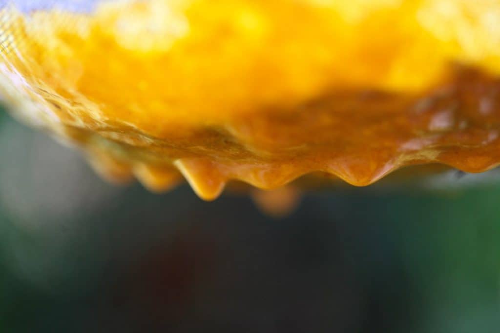 Yellow Sea buckthorn juice straining through a sieve