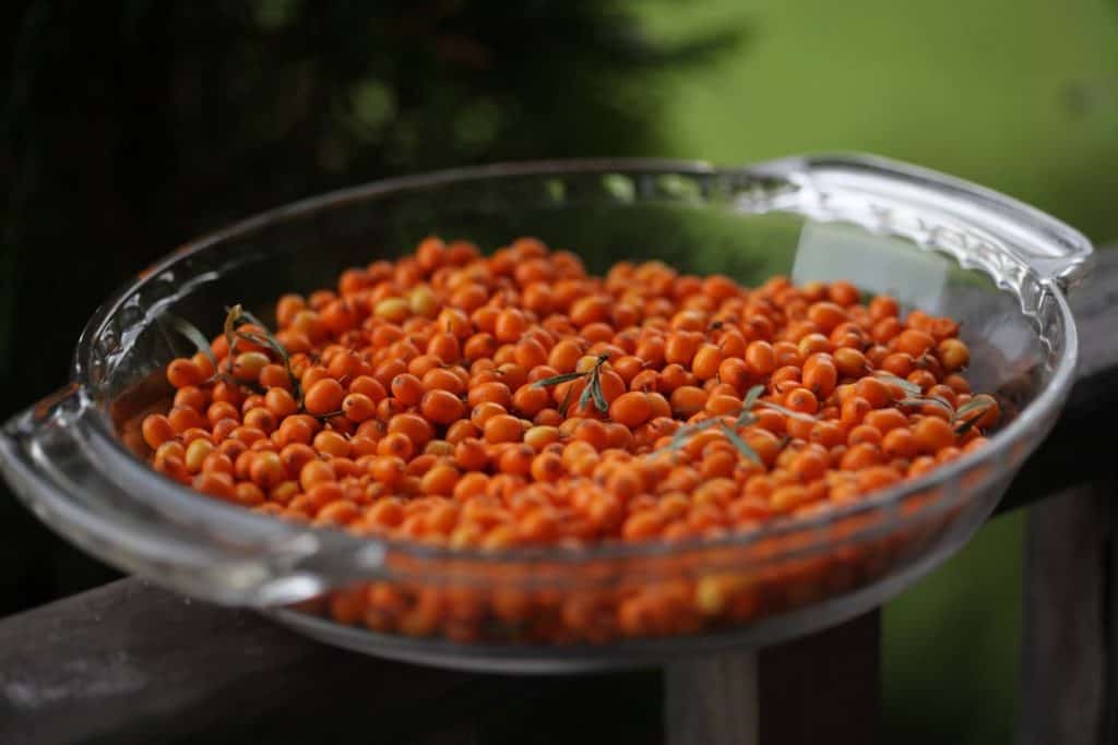 bright orange sea buckthorn berries in a glass dish on a wooden railing