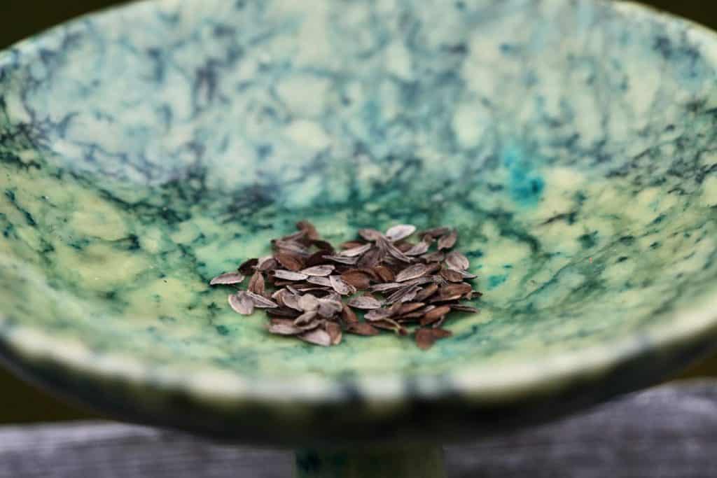 mature zinnia seeds in a green alabaster bowl