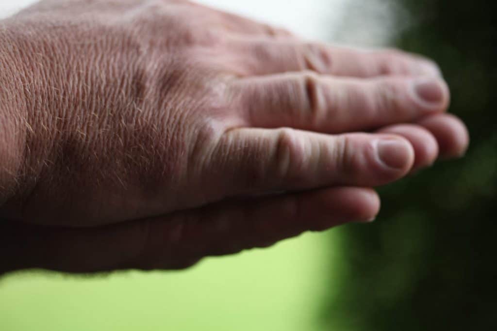 two hands rubbing a milkweed pod