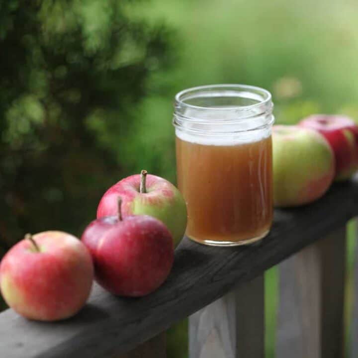 How To Make Apple Cider With A Press