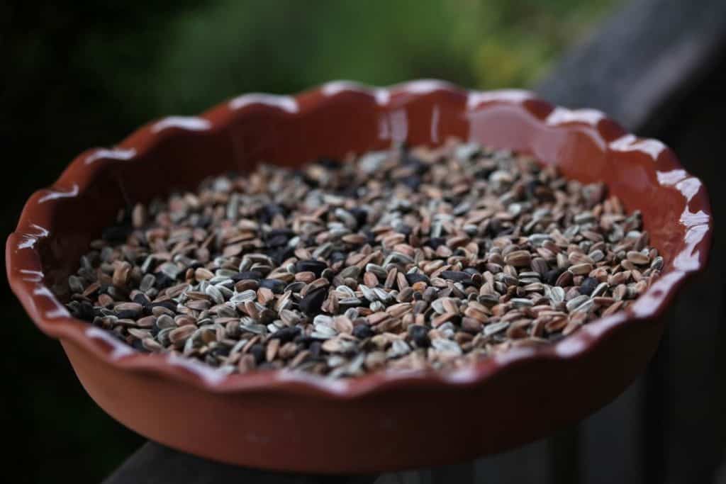 a clay coloured plate containing a mixture of harvested sunflower seeds