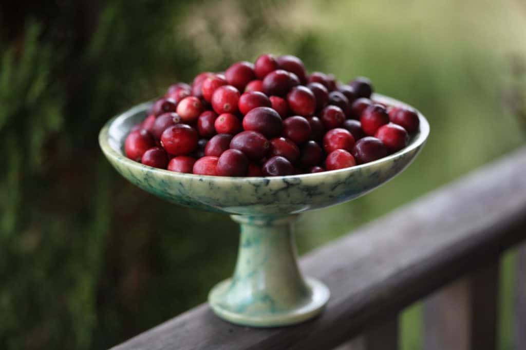 a green alabaster bowl full of red cranberries on a wooden railing