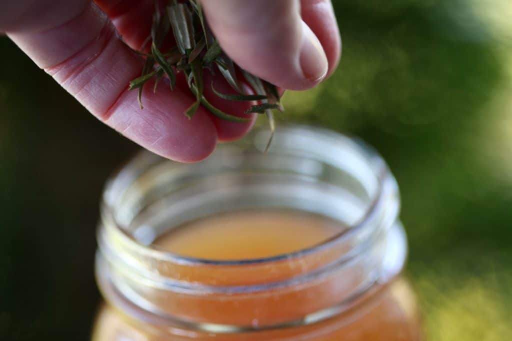 a hand adding dried sea buckthorn leaves to a mason jar of reconstituted apple cider syrup