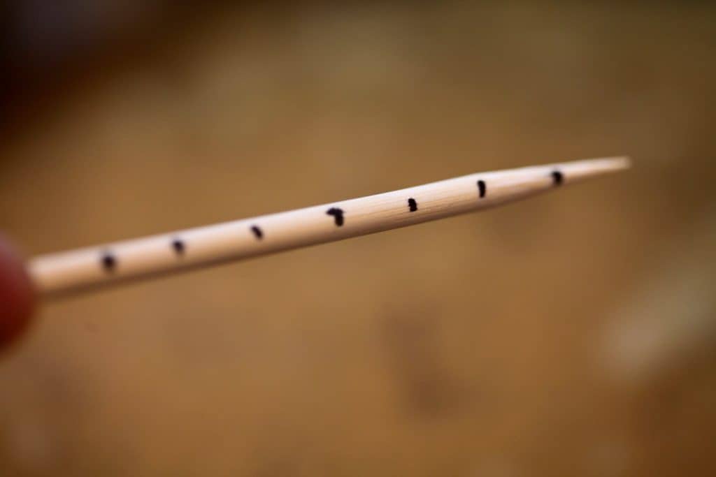 a wooden skewer with black marks an equal distance apart