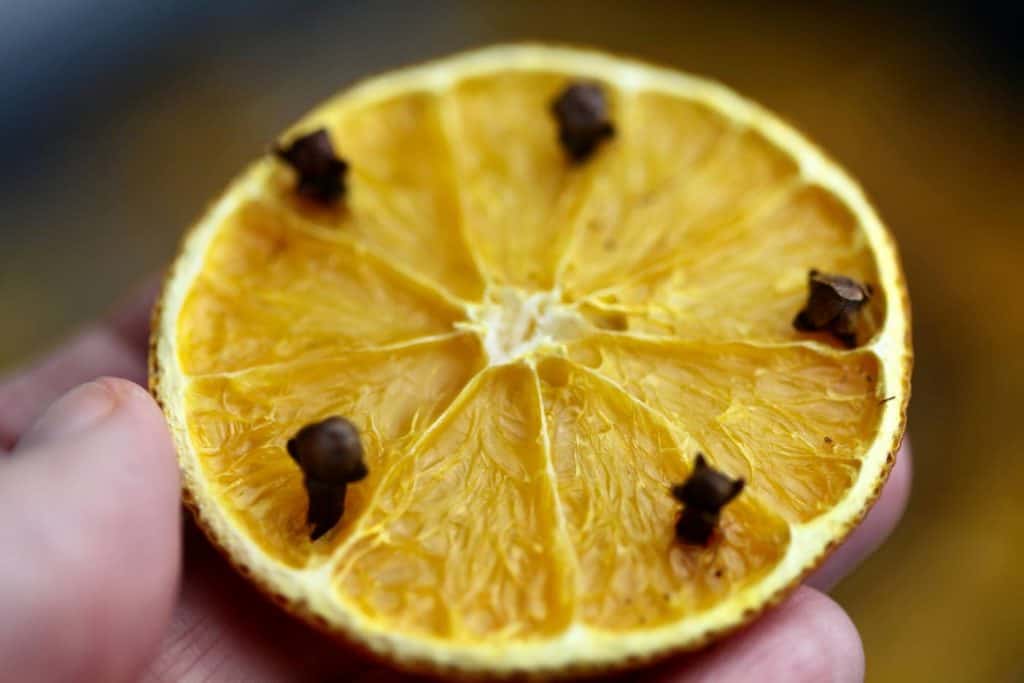 dried orange slice freshly baked