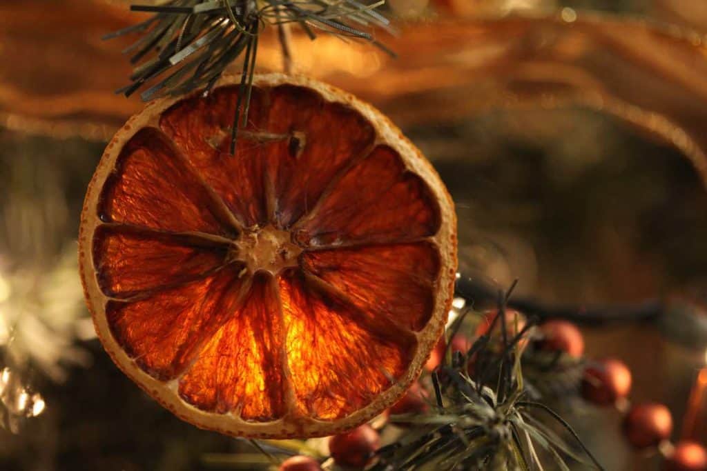 dried orange slice from last year on the tree against a mini light
