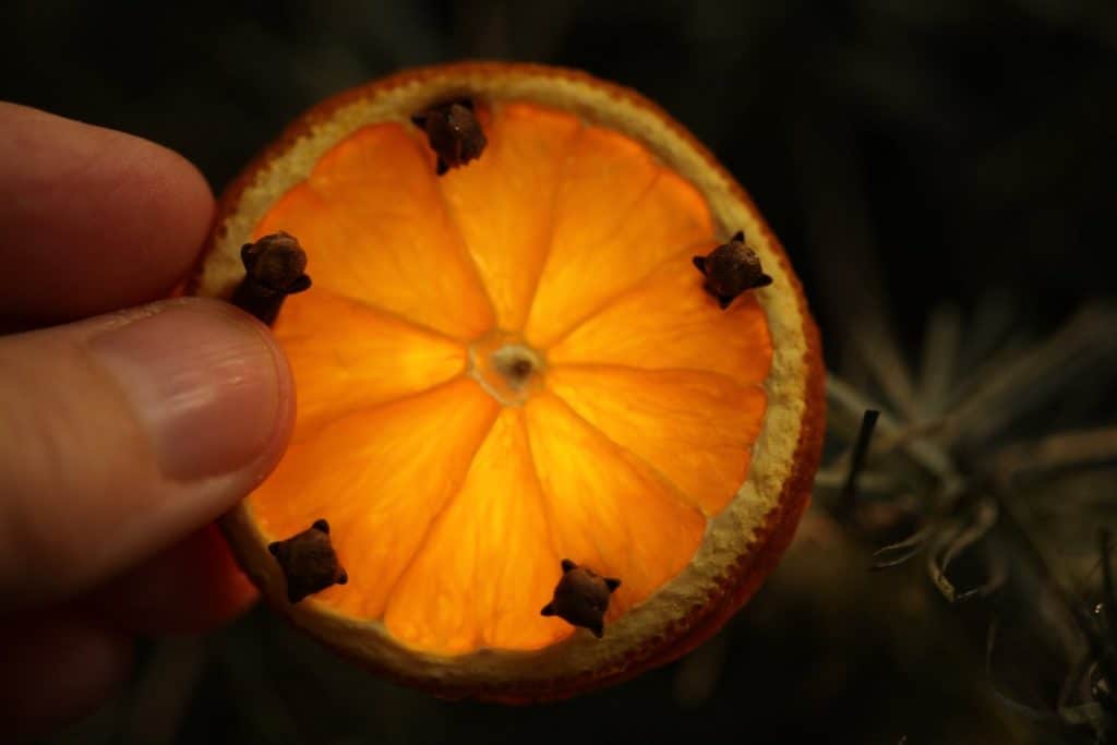 freshly made dried orange slice against a mini light- notice the glow