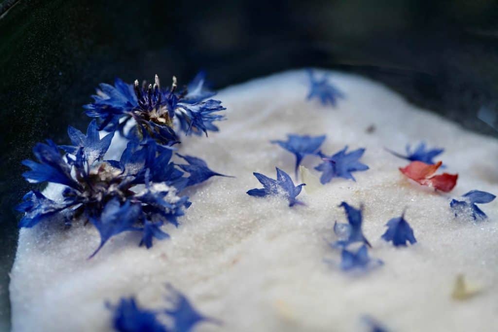 flowers in silica gel with some petal loss