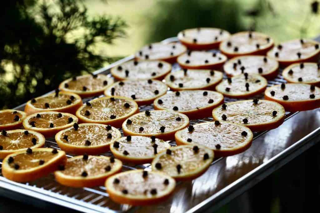 orange slices with cloves prepared for drying on a bakers rack