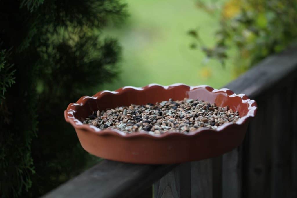 a terra cotta coloured container with sunflower seeds saved for the birds on a wooden railing