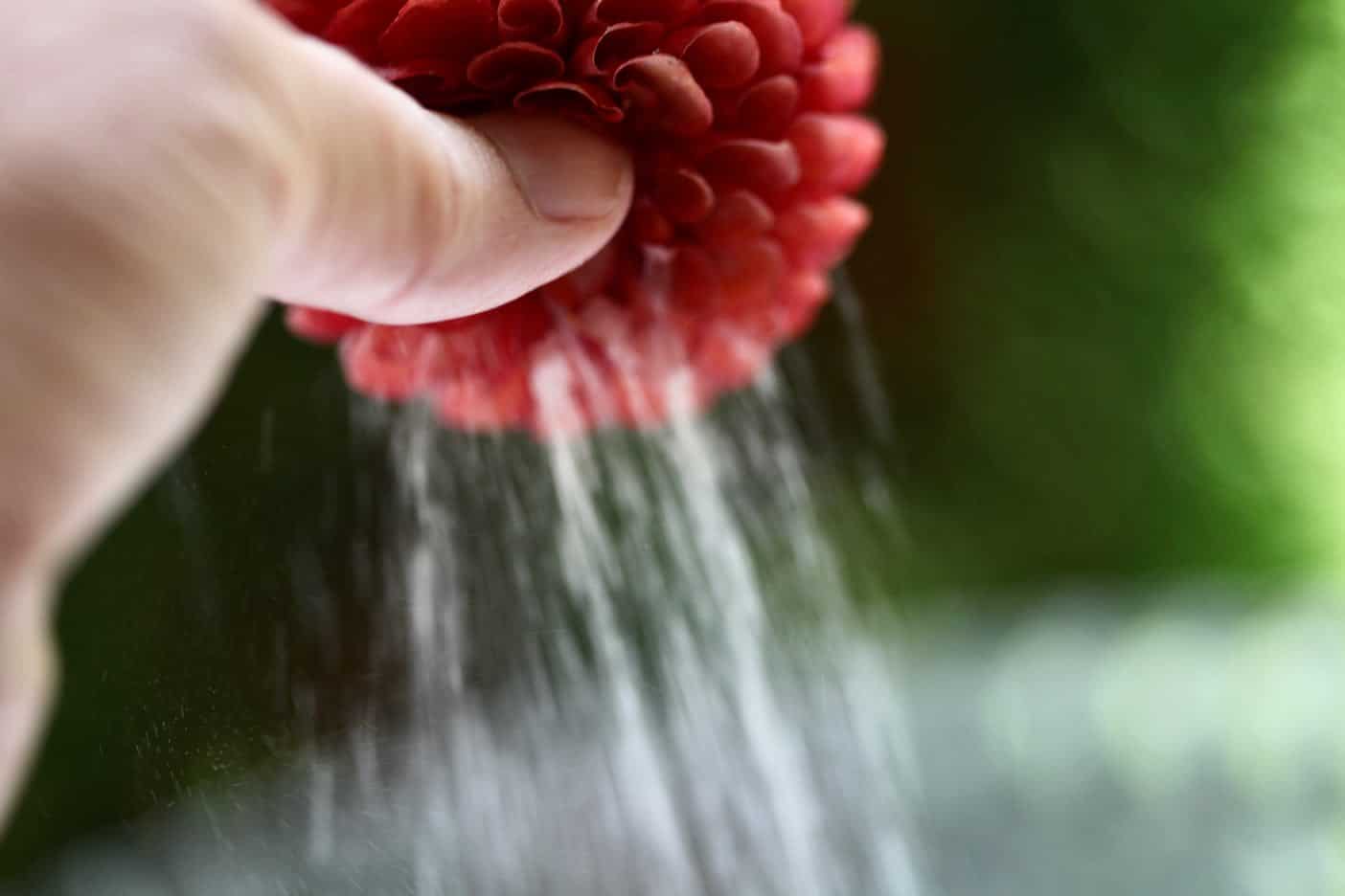 How To Dry Flowers With Silica Gel Farmhouse Blooms   Silica Gel Falling From A Dried Dahlia Flower 