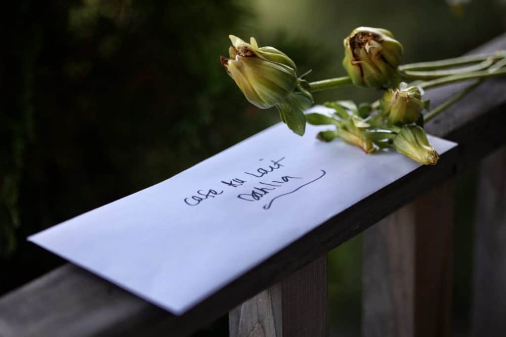 dahlia seed pods and envelope with seeds on a wooden railing, showing how to store dahlia seeds in a paper envelope