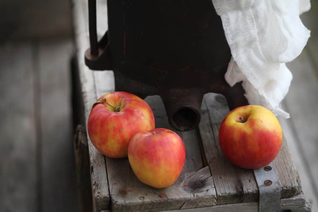 fresh organic apples on a grey wooden crate next to an apple press