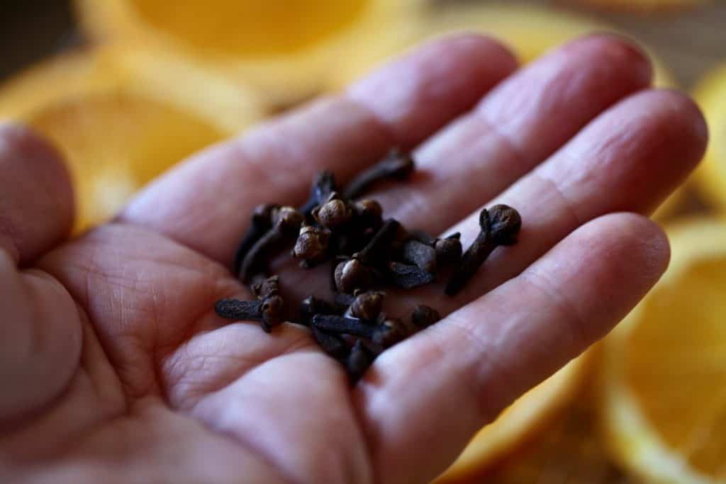 a hand holding a bunch of brown cloves