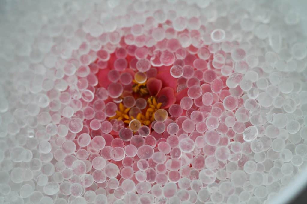 a zinnia in silica beads