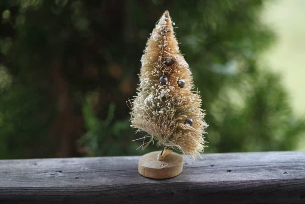 a bottle brush tree with a flattened side on a wooden railing