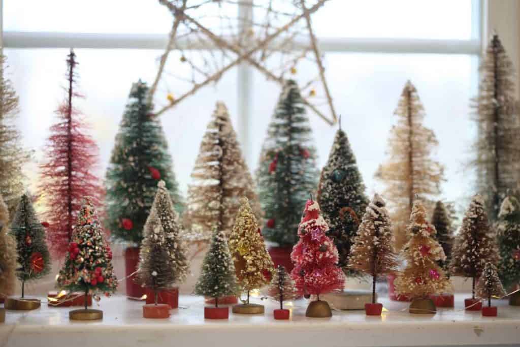 a collection of bottle brush trees displayed in a window