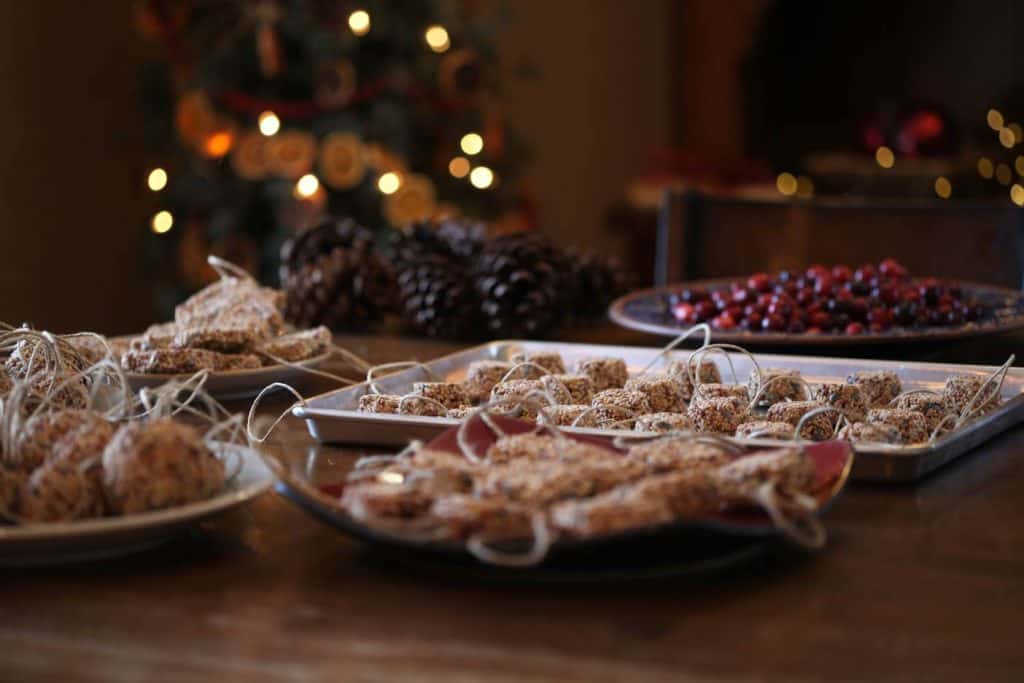 a variety of different birdseed ornaments