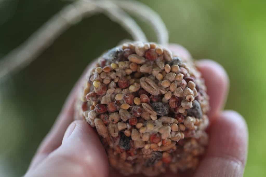 a hand holding a birdseed ornament