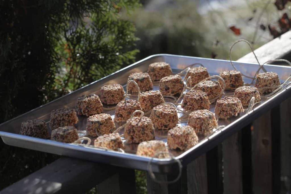 birdseed ornaments made in mini muffin tins, an a metal cookie sheet on a wooden railing