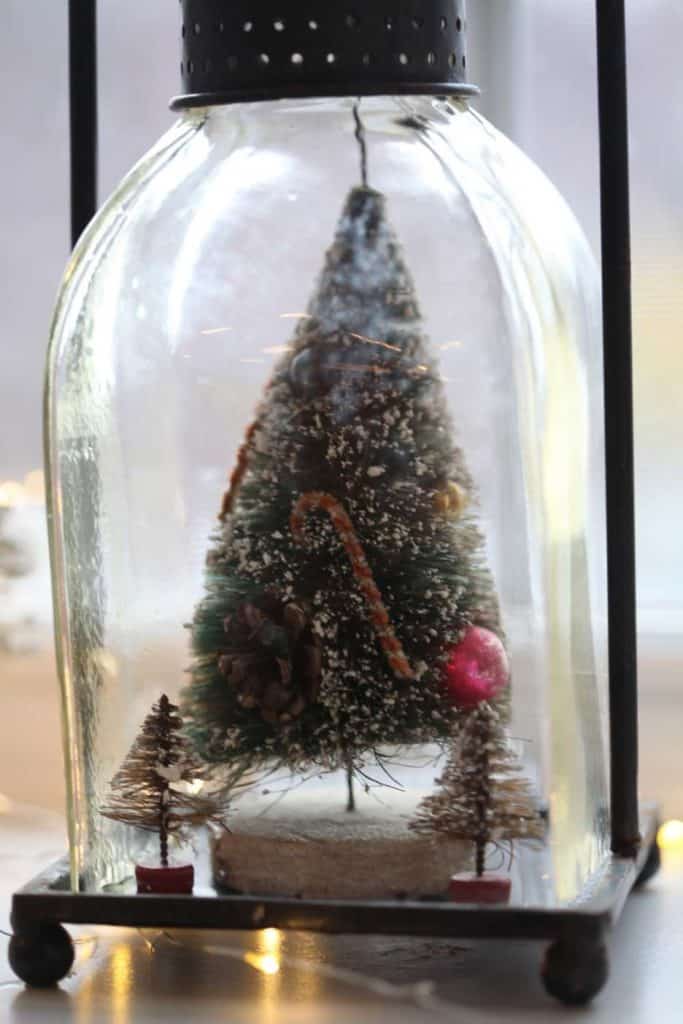 one large and two small bottle brush trees under a cloche