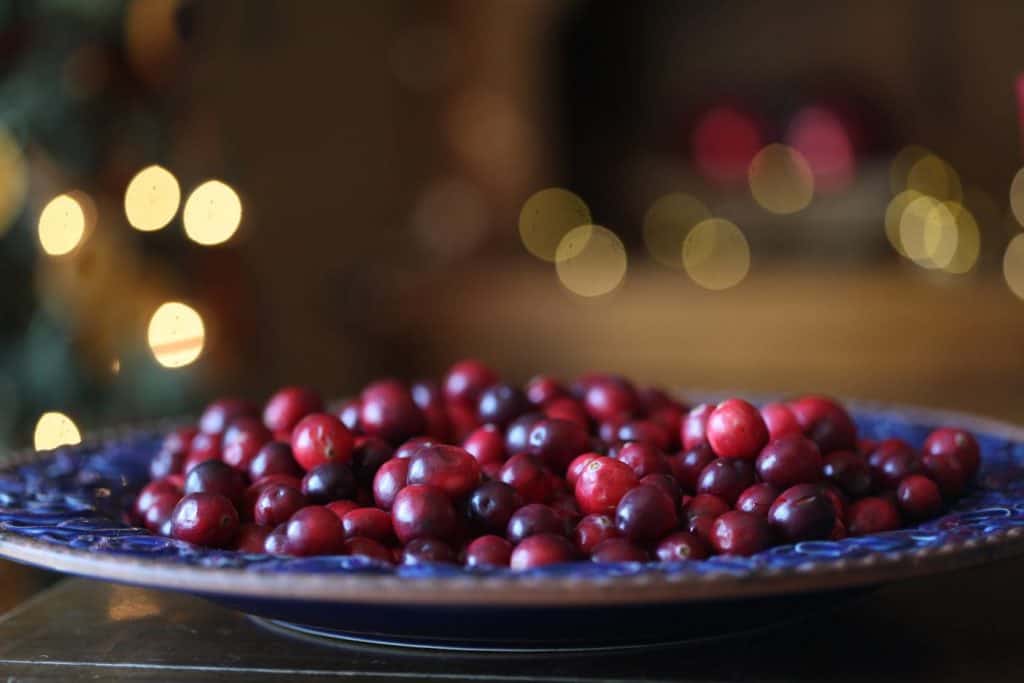 a blue platter with fresh red cranberries