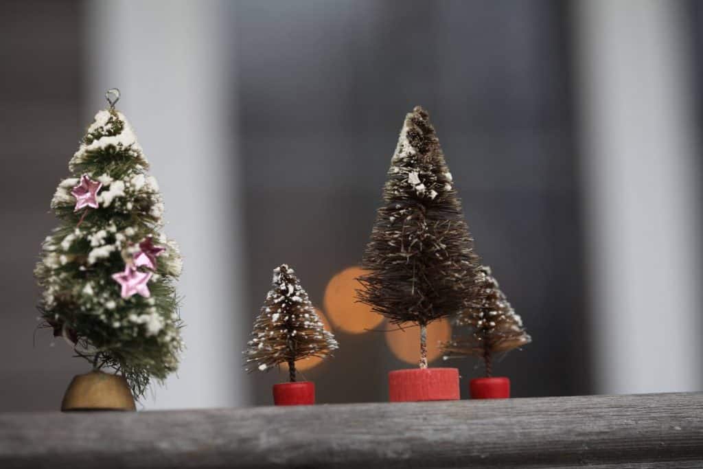 four small trees on a wooden railing