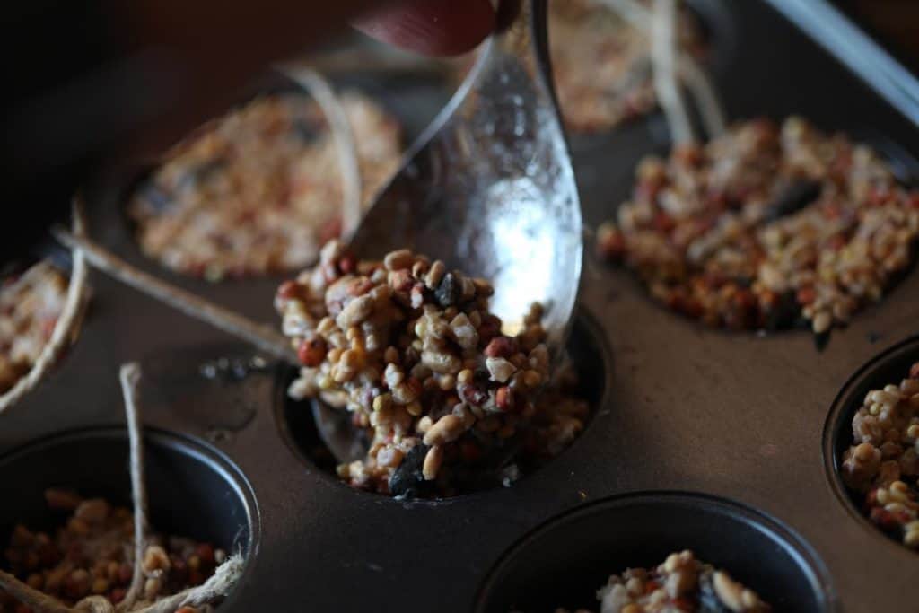 birdseed mixture placed in muffin tins with a silver coloured spoon