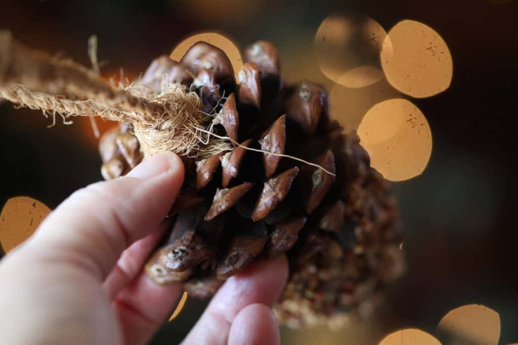rope hot glued to the top of the pinecone