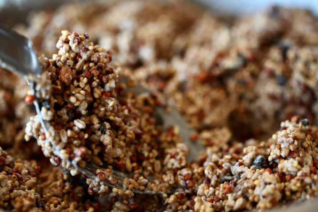  a sticky birdseed mixture made with a variety of different birdseed