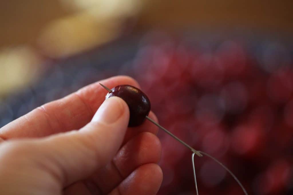 a hand holding a cranberry being treaded with a needle and fishing twine