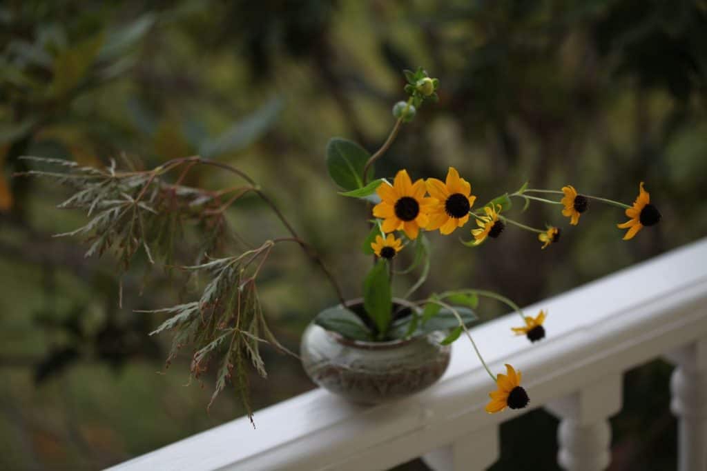 a small container with a few flowers arranged sparsely, including mostly greenery and also a small yellow Rudbeckia Triloba with a black centre