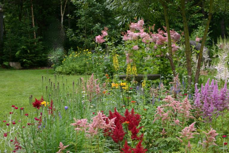 a herbaceous perennial border with colourful flowers to cut