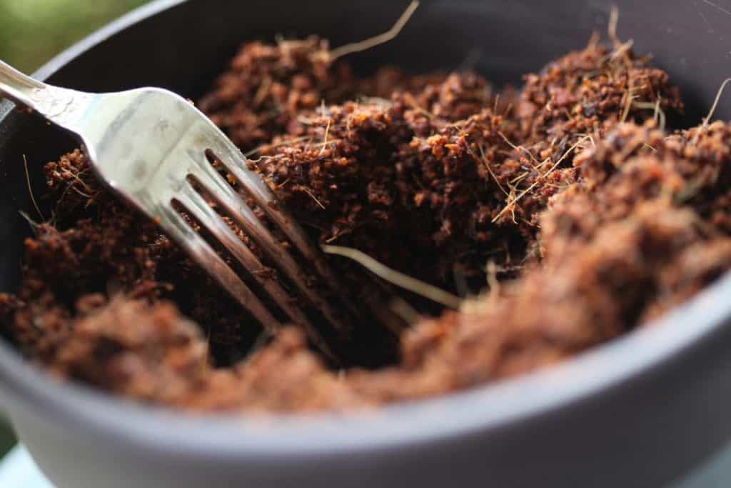 a pot filled with coconut coir and a fork making a hole in the coir